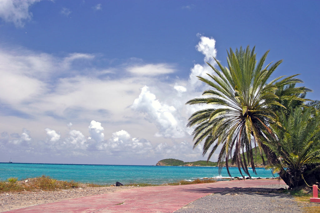 Exploring a Paradise: Uncovering the Wonders of the US Virgin Islands