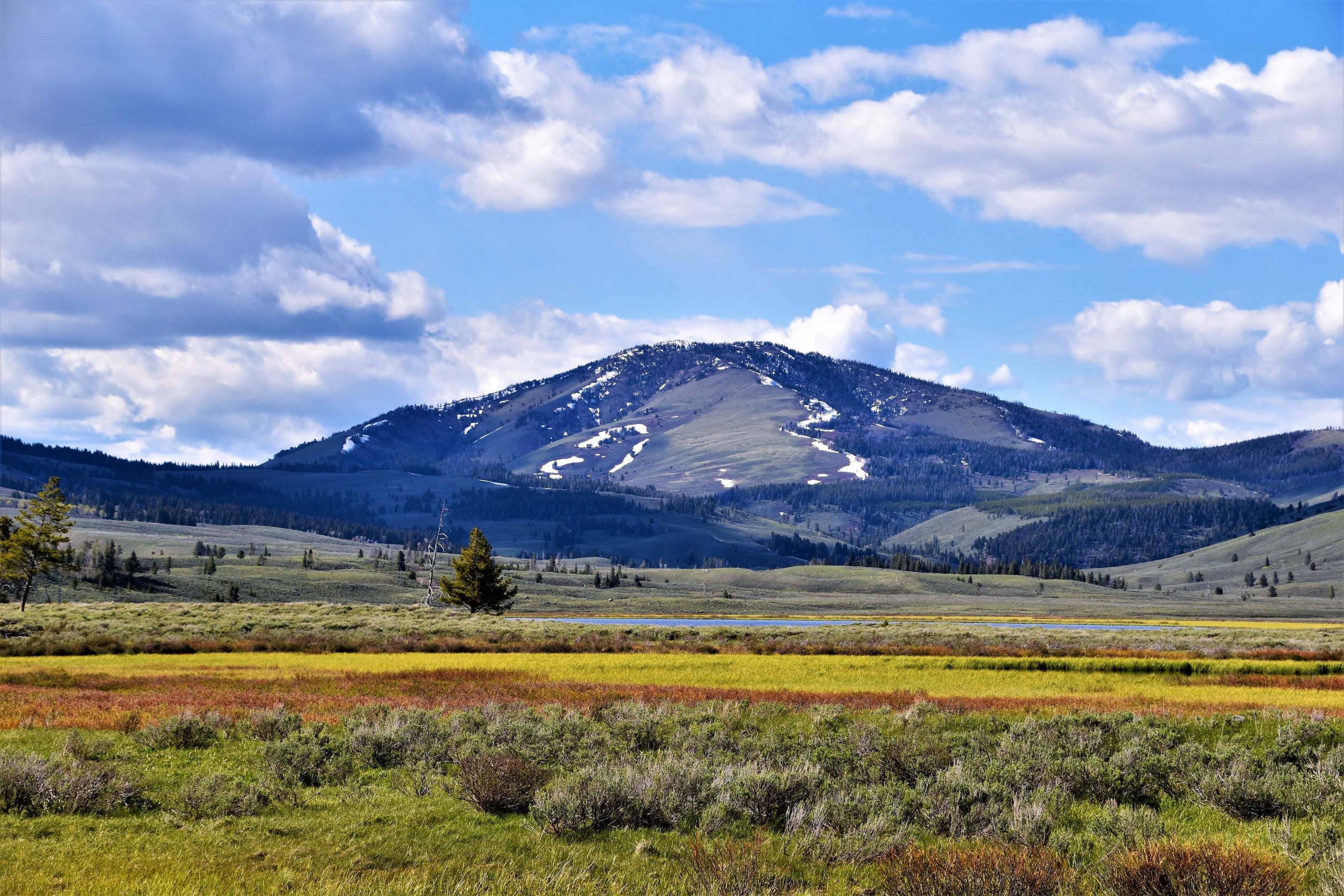 Explorando el salvaje y maravilloso estado de Montana